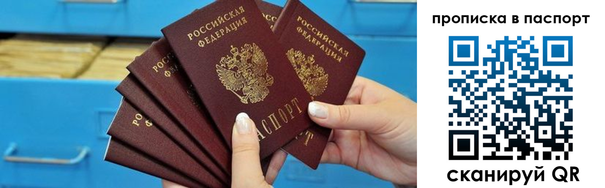 найти адрес прописки в Гвардейске